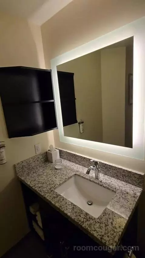 One Bedroom King Suite (#534) bathroom picture #11