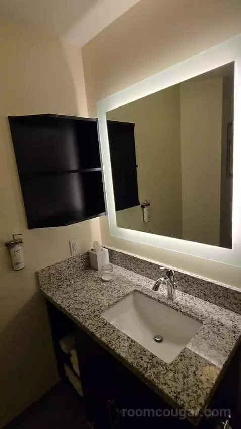 One Bedroom King Suite (#534) bathroom picture #12