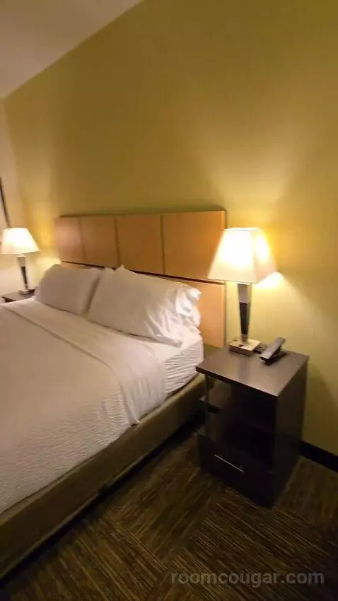 One Bedroom King Suite (#534) bed picture #1