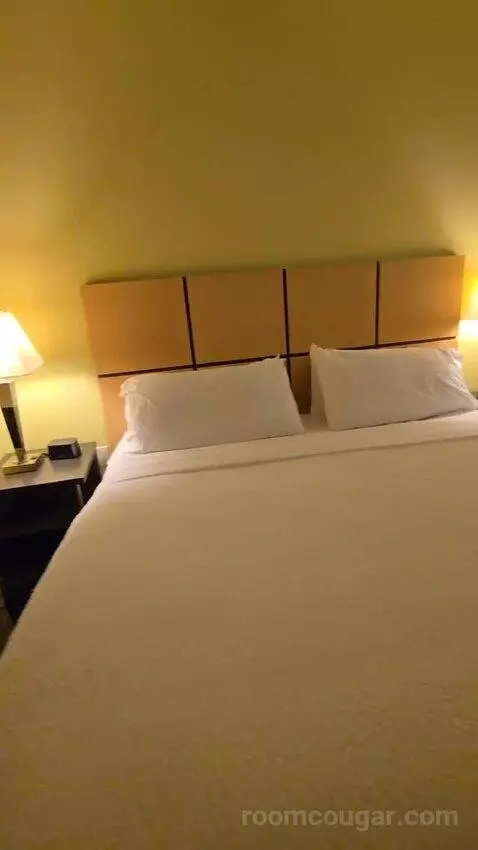 One Bedroom King Suite (#534) bed picture #12