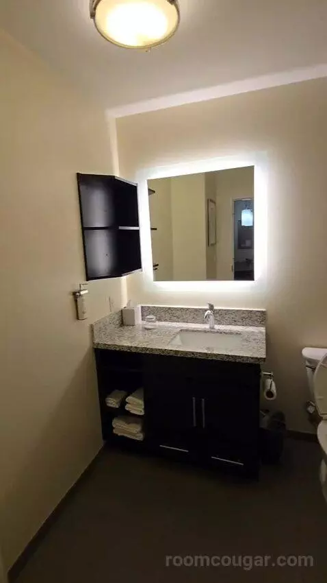 One Bedroom King Suite (#534) bathroom picture #1