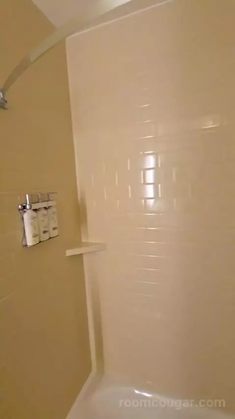 One Bedroom King Suite (#534) bathroom picture #4