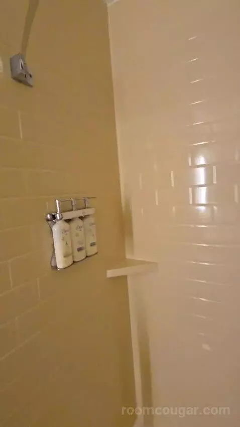 One Bedroom King Suite (#534) bathroom picture #6