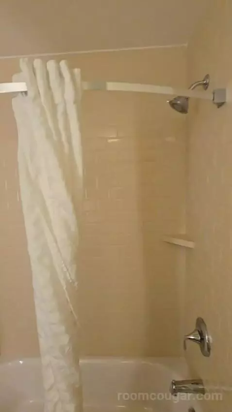 One Bedroom King Suite (#534) bathroom picture #8
