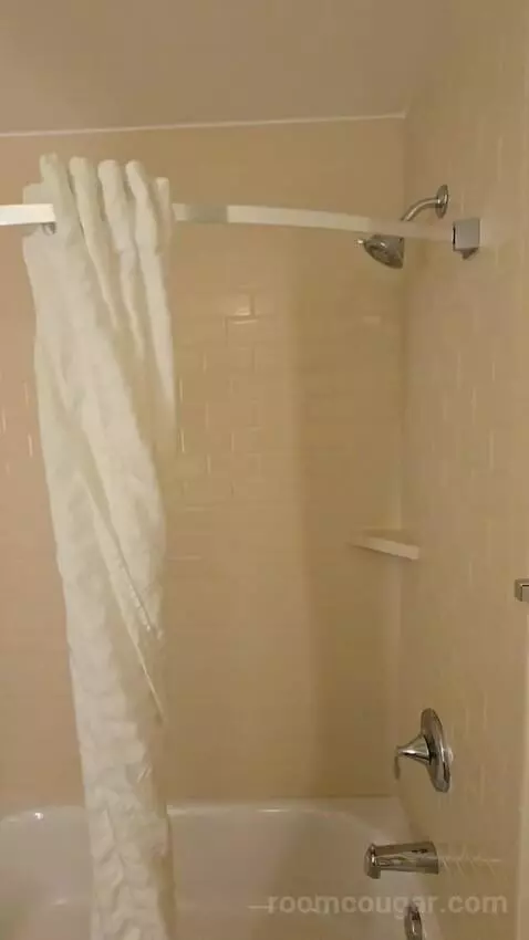 One Bedroom King Suite (#534) bathroom picture #9