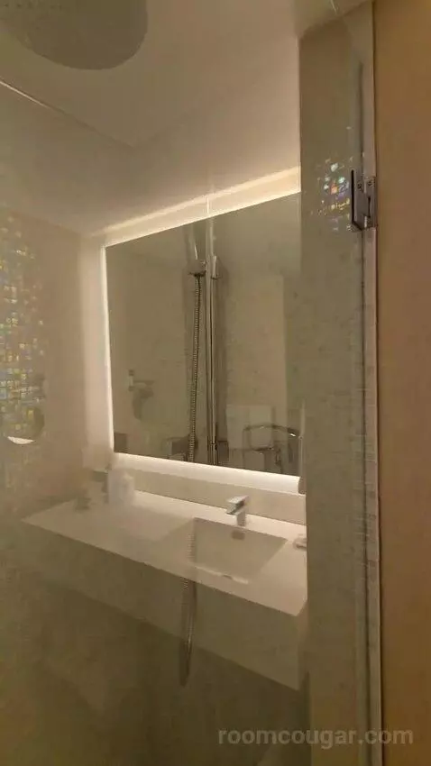 Vip Suite (#1256) bathroom picture #7