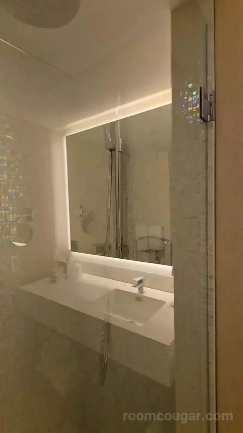 Vip Suite (#1256) bathroom picture #8