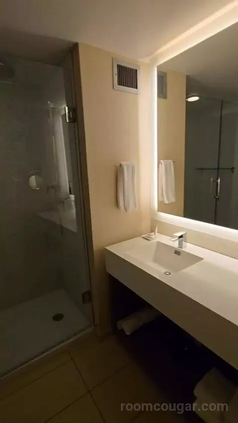 Vip Suite (#1256) bathroom picture #10