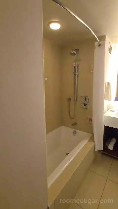 Vip Suite (#1256) bathroom picture #3