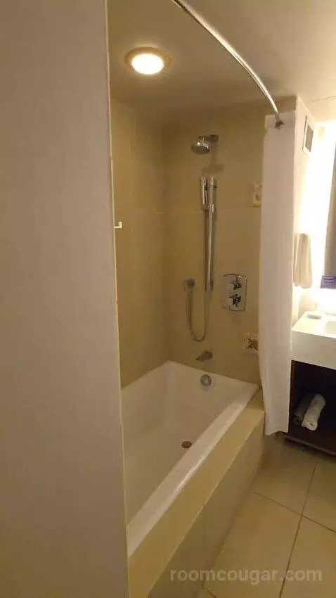 Vip Suite (#1256) bathroom picture #4