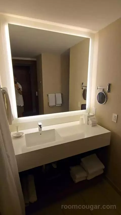 Double Room with Two Double Beds and Pool View (#1536) bathroom picture #1