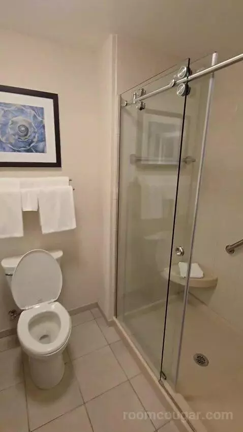 Deluxe King Room (#419) bathroom picture #11