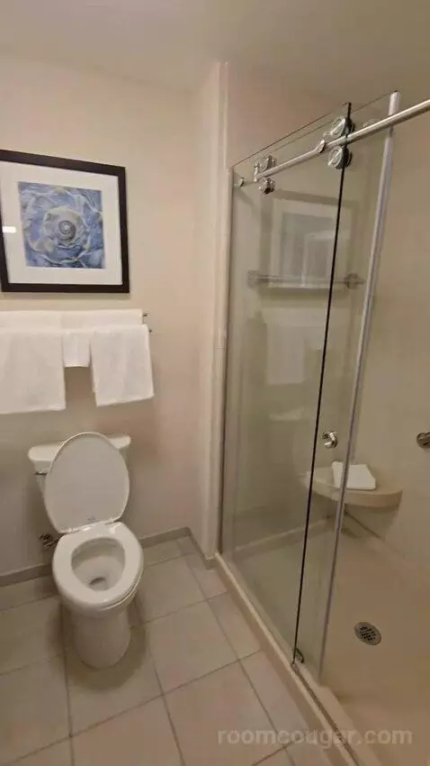 Deluxe King Room (#419) bathroom picture #12