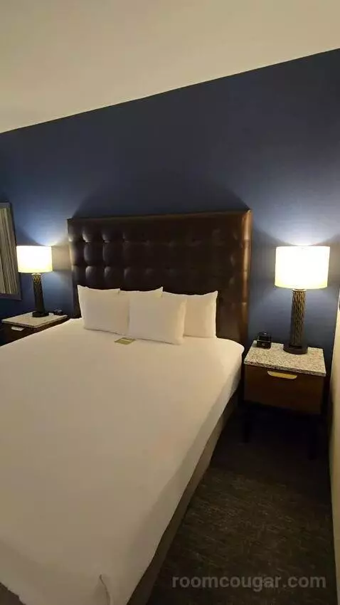 Deluxe King Room (#419) bed picture #1