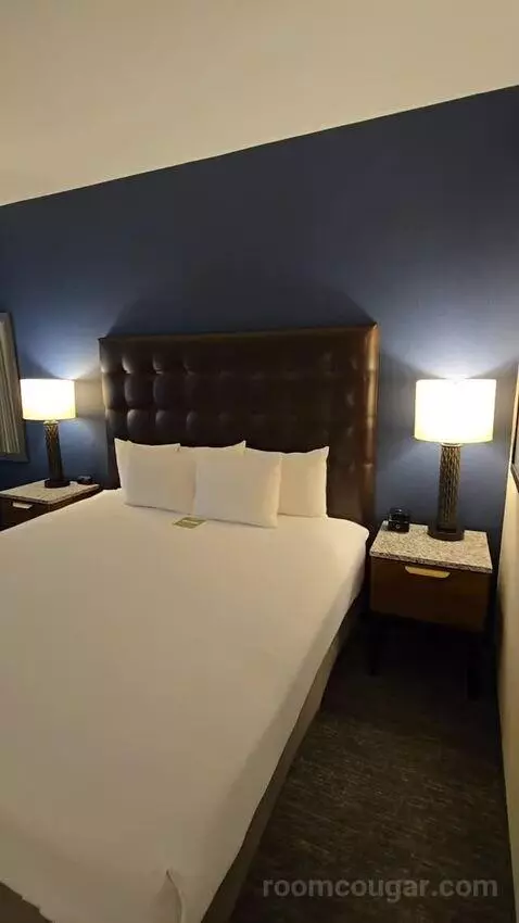 Deluxe King Room (#419) bed picture #3