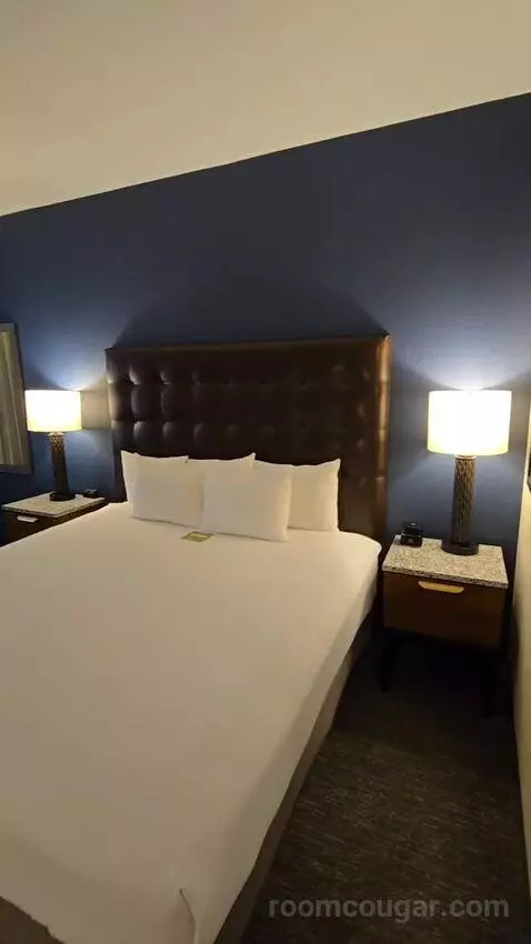 Deluxe King Room (#419) bed picture #4