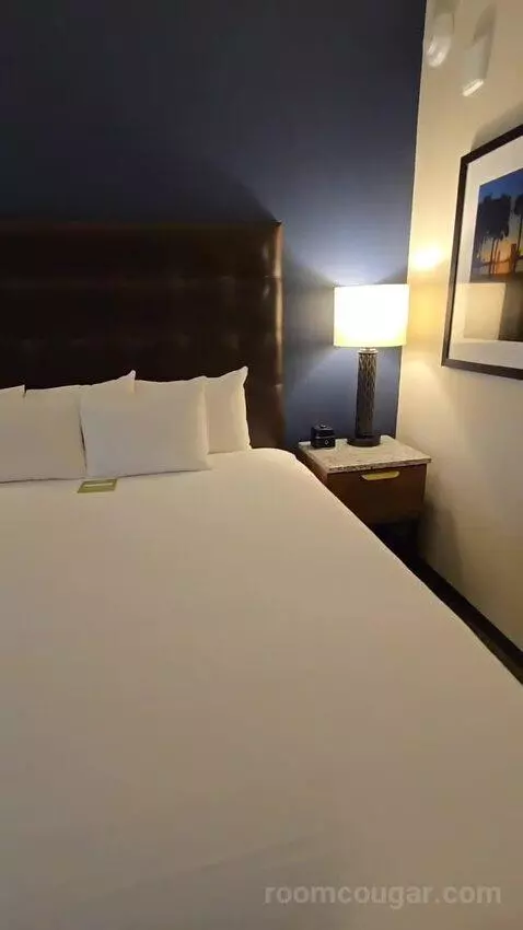 Deluxe King Room (#419) bed picture #9