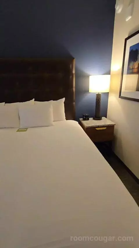 Deluxe King Room (#419) bed picture #10