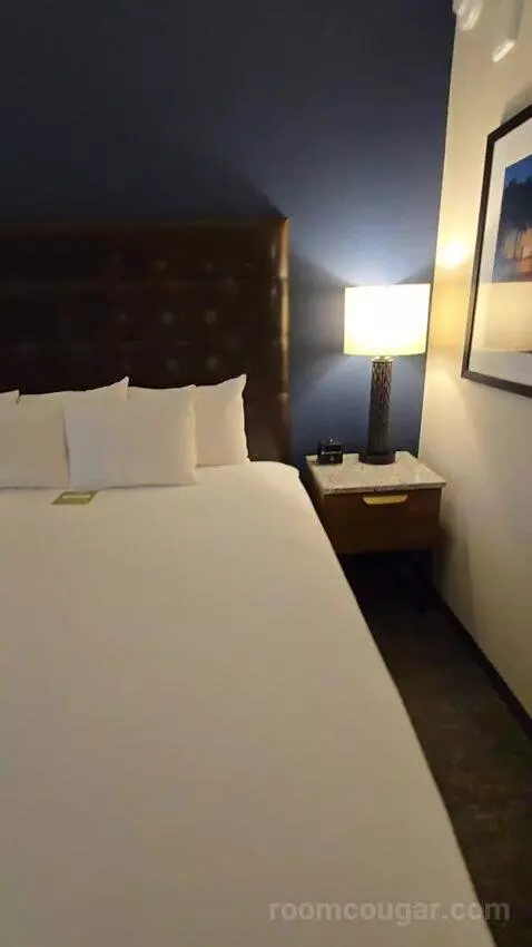 Deluxe King Room (#419) bed picture #11