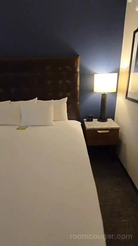 Deluxe King Room (#419) bed picture #12