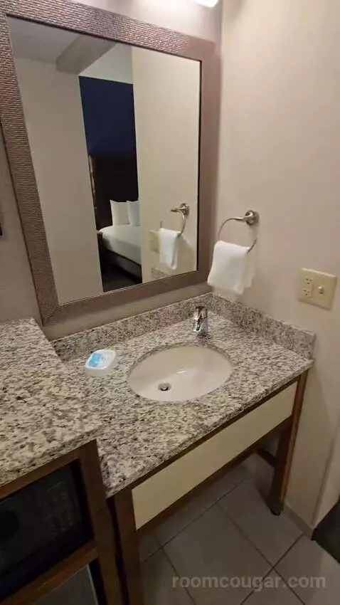 Deluxe King Room (#419) bathroom picture #1