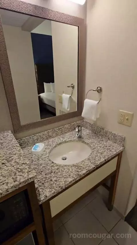 Deluxe King Room (#419) bathroom picture #2