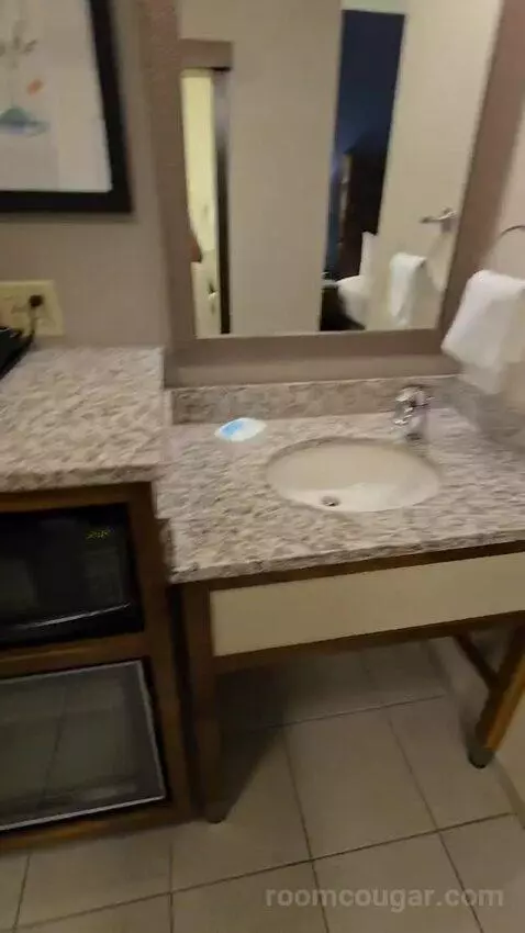 Deluxe King Room (#419) bathroom picture #3