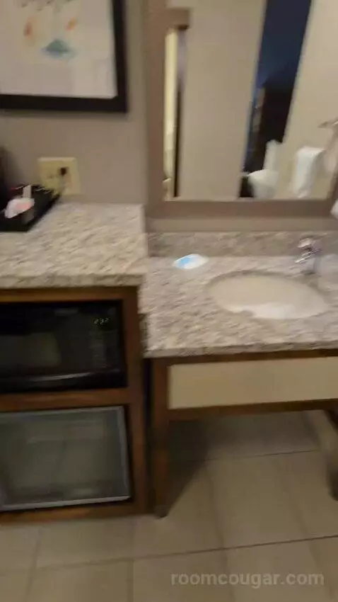 Deluxe King Room (#419) bathroom picture #4