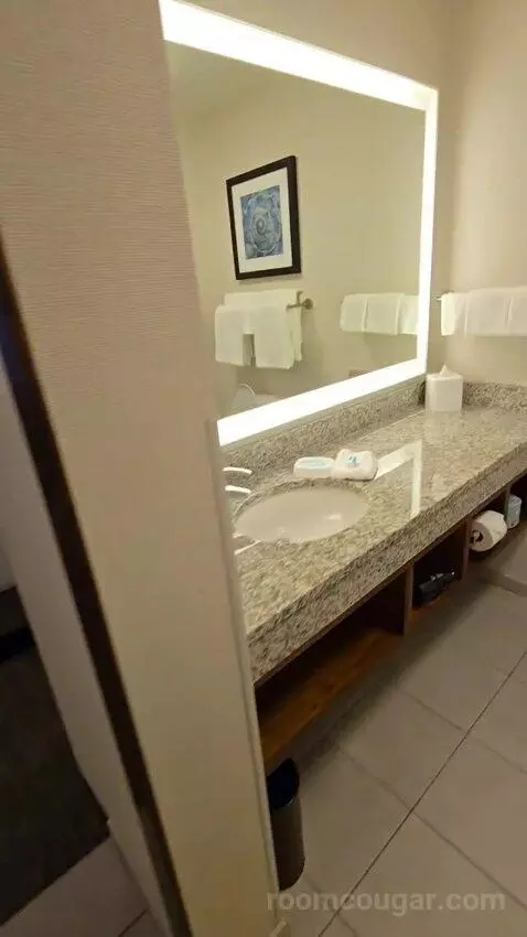 Deluxe King Room (#419) bathroom picture #5