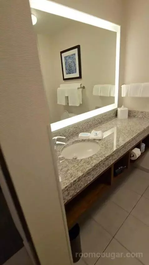 Deluxe King Room (#419) bathroom picture #6