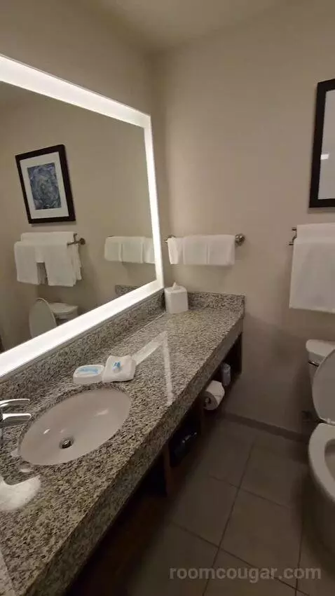 Deluxe King Room (#419) bathroom picture #7