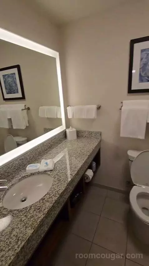 Deluxe King Room (#419) bathroom picture #8
