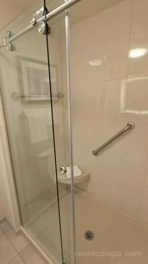 Deluxe King Room (#419) bathroom picture #9