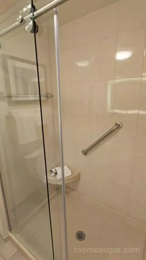 Deluxe King Room (#419) bathroom picture #10