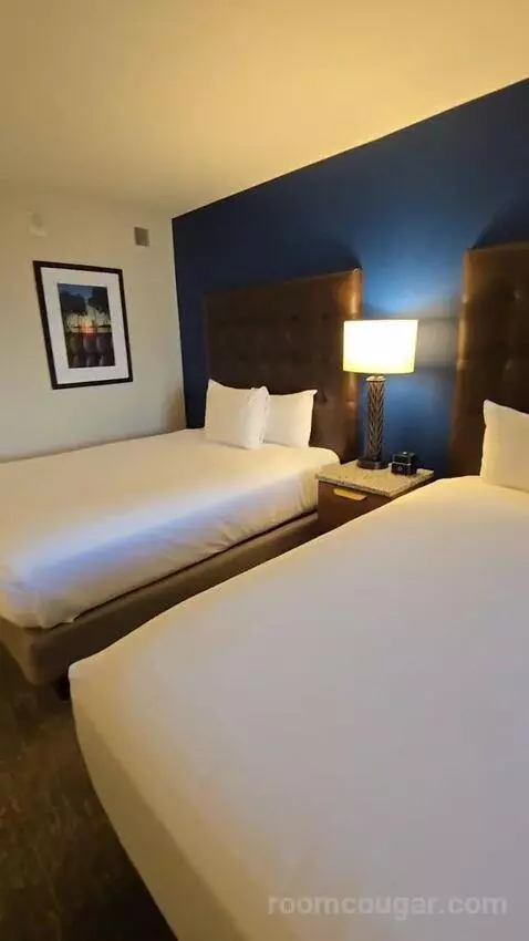 gotravel's review preview (Drury Plaza Hotel Orlando - Disney Springs Area)