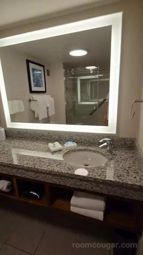 Deluxe Queen Room with Two Queen Beds - Terrace (#1045) bathroom picture #12