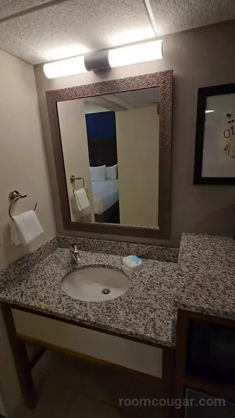 Deluxe Queen Room with Two Queen Beds - Terrace (#1045) bathroom picture #1