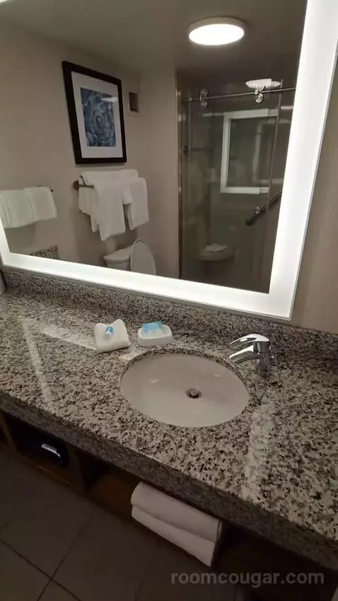 Deluxe Queen Room with Two Queen Beds - Terrace (#1045) bathroom picture #6