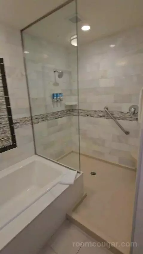 Oversize Queen Suite with Sofa Bed (#1933) bathroom picture #5