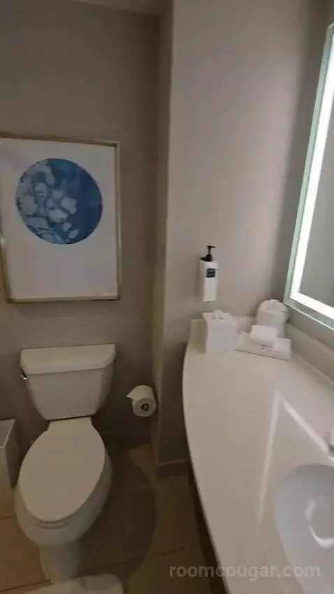 Junior King Suite bathroom picture #1