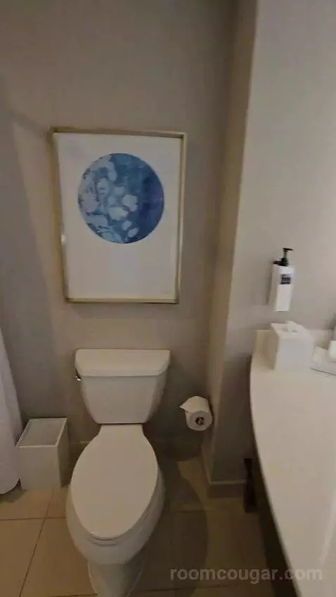 Junior King Suite bathroom picture #3