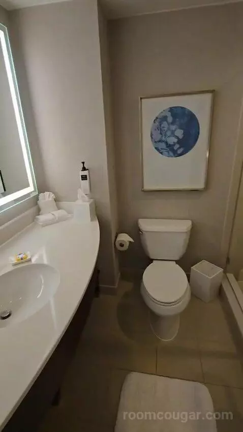 King Room (#1804) bathroom picture #3