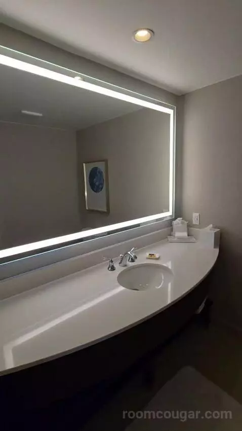 Executive Suite with Theme Park View (#1825) bathroom picture #1