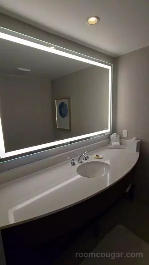 Executive Suite with Theme Park View (#1825) bathroom picture #2
