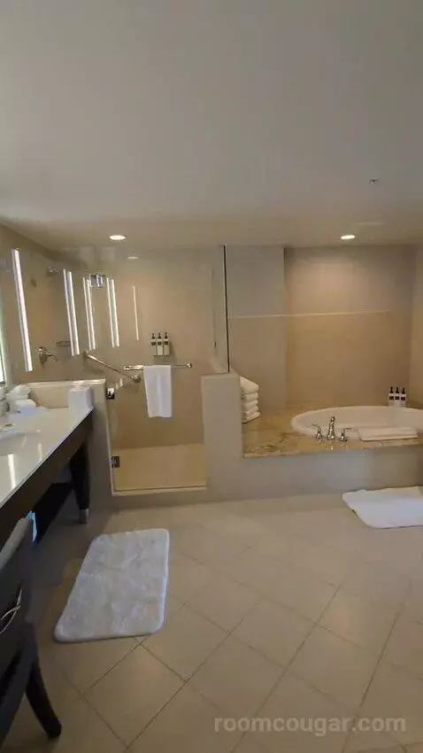 Executive Suite with Theme Park View (#1825) bathroom picture #9