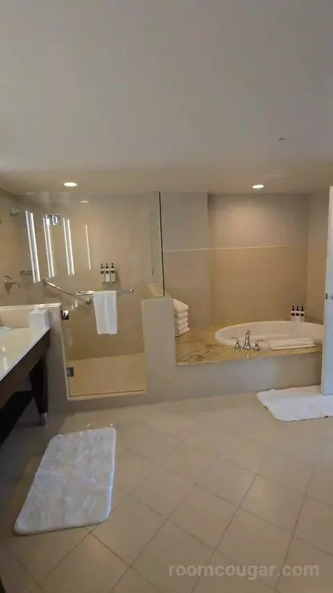 Executive Suite with Theme Park View (#1825) bathroom picture #10