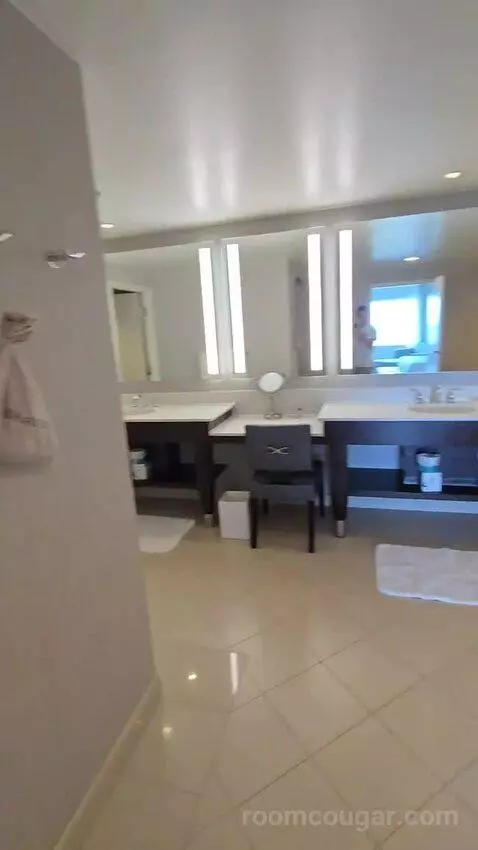 Executive Suite with Theme Park View (#1825) bathroom picture #4