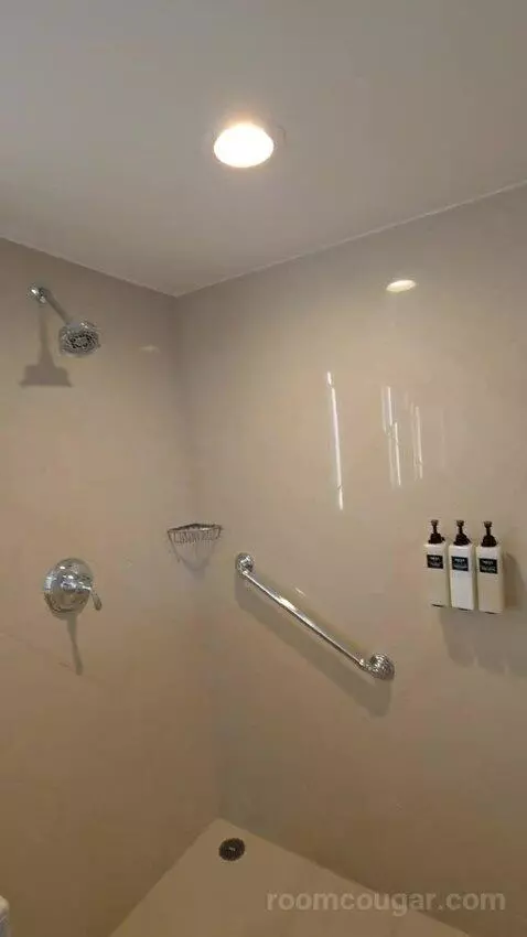 Executive Suite with Theme Park View (#1825) bathroom picture #5