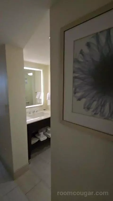 King Room (#2621) bathroom picture #2