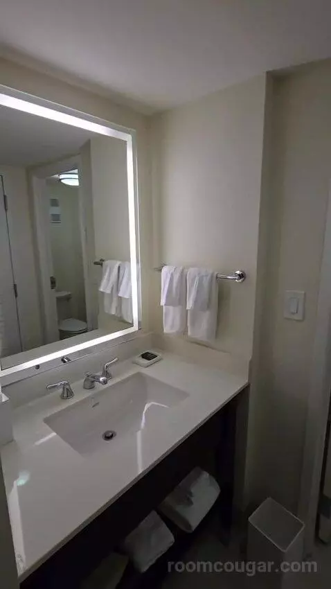 King Room (#2621) bathroom picture #3
